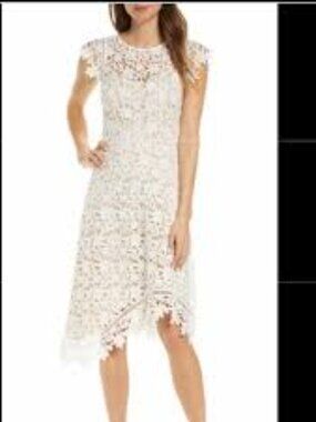 NWT:  Eliza J Lace Asymmetric Cocktail Dress